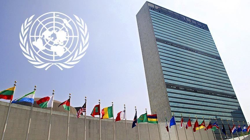 Birleşmiş Milletler Türkiye büyüme tahmini