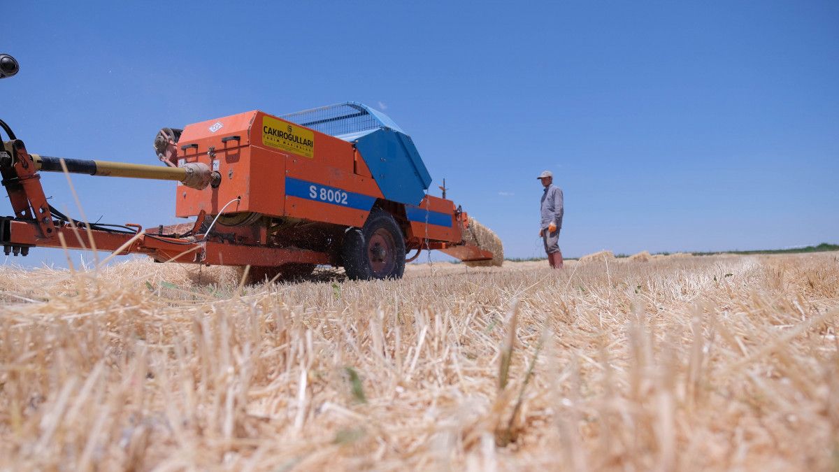 Türkiye'nin tahıl ambarında bu yıl hasat 2,2 milyon ton oldu